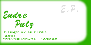 endre pulz business card